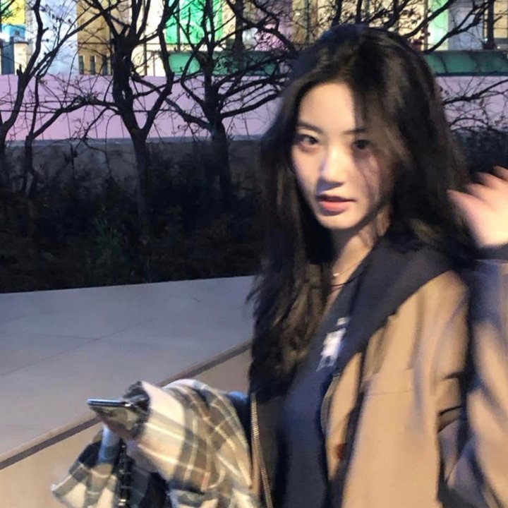 月亮与蛋糕